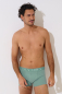 Preview: LISCA 032039 ODYSSEUS Herren Pant/Short M-XXXL aloe green AG