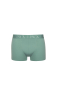 Preview: LISCA 032039 ODYSSEUS Herren Pant/Short M-XXXL aloe green AG