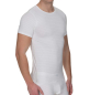 Preview: BRUNO BANANI 22072165 Shirt CHECKLINE in 4 Farben