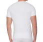 Preview: BRUNO BANANI 22072165 Shirt CHECKLINE in 4 Farben