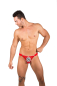 Preview: EROS VENEZIANI Herren Netz String Clipverschluss 7304E rot