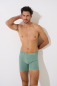 Preview: LISCA 032040 ODYSSEUS Herren Long Pant/Short S-XXXL aloe green AG