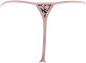 Preview: AXAMI 10143 Babydoll mit String S - XL pink V-9519