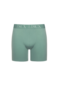 LISCA 032040 ODYSSEUS Herren Long Pant/Short S-XXXL aloe green AG