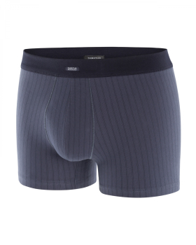 IMPETUS Cotton Stretch PANT 1226020 rauchblau / marine A31