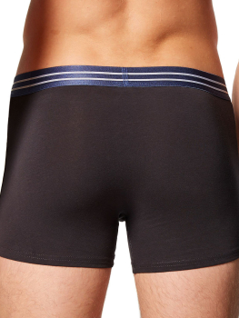 Preview: BRUNO BANANI 3er Pack Pant / Short ESSENTIAl COTTON blau 22012326-4301