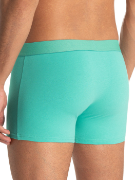 Preview: BRUNO BANANI 2er Pack Pant / Short FLOWING S - XXXL smaragdgruen 3297