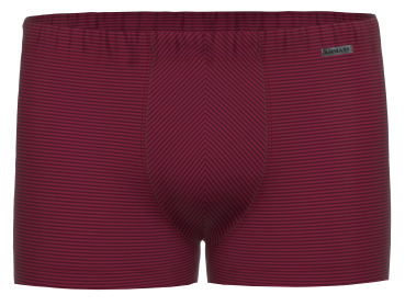 Preview: AMMANN 700351 Retro Short / Pant COTTON & MORE bis Gr. 14/6XL