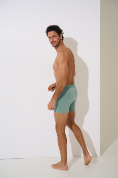 LISCA 032040 ODYSSEUS Herren Long Pant/Short S-XXXL aloe green AG