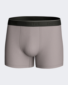IMPETUS 2166f84 Soft Premium PANT / SHORT grau ig20