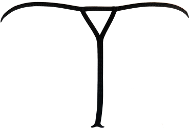 AXAMI 10151 Babydoll mit String S - XL schwarz V-9579