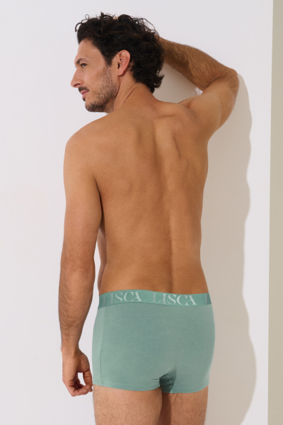 LISCA 032039 ODYSSEUS Herren Pant/Short M-XXXL aloe green AG