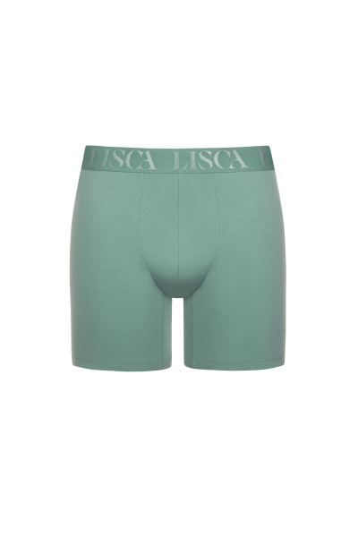 LISCA 032040 ODYSSEUS Herren Long Pant/Short S-XXXL aloe green AG