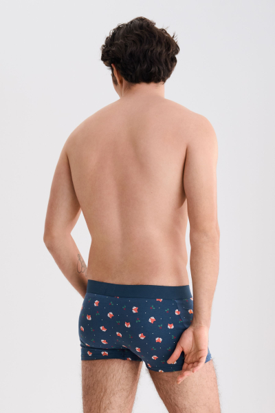 LISCA 032044 FOX Herren Pant/Short M- XXL blau