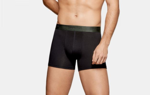 IMPETUS 2er Pack PANT Cotton Stretch 1224h54p2