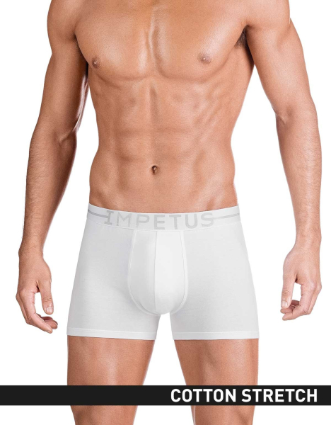 IMPETUS Cotton Stretch PANT 1258021