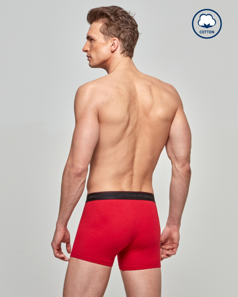 IMPETUS Cotton Stretch Emotion PANT 2013B89