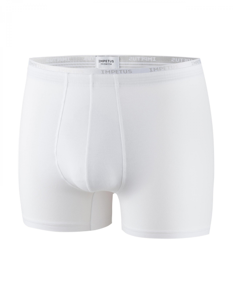 IMPETUS Cotton Premium PANT 2055B44