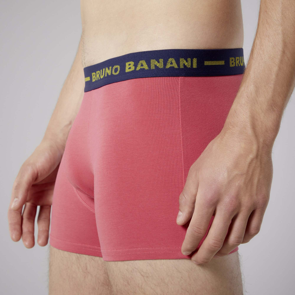 BRUNO BANANI 2er Pack Pant / Short PEACOCK 22012508-4594