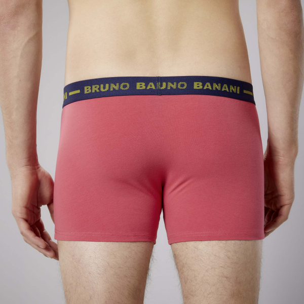 BRUNO BANANI 2er Pack Pant / Short PEACOCK 22012508-4594