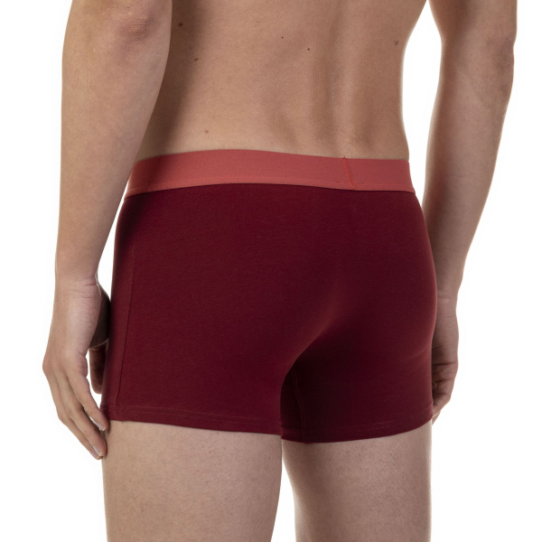 BRUNO BANANI Short 2er Pack CALATHEA 22012715-4859 rot