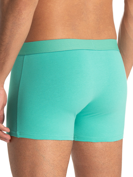 BRUNO BANANI 2er Pack Pant / Short FLOWING S - XXXL smaragdgruen 3297