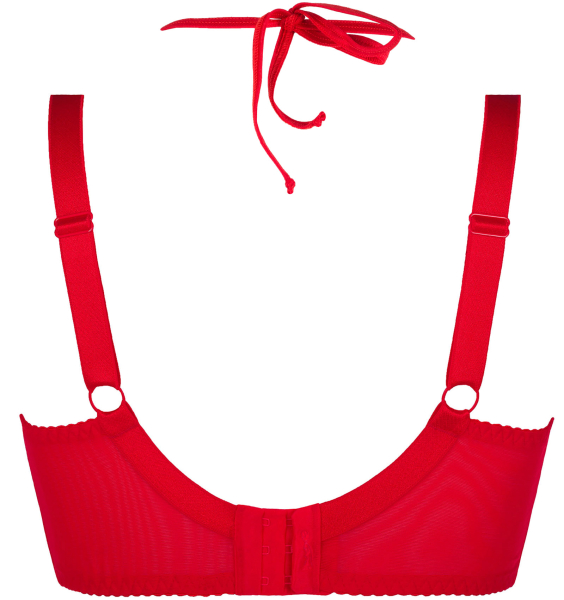 AXAMI Bügel BH 20025 rot Plus Size V-8721PS
