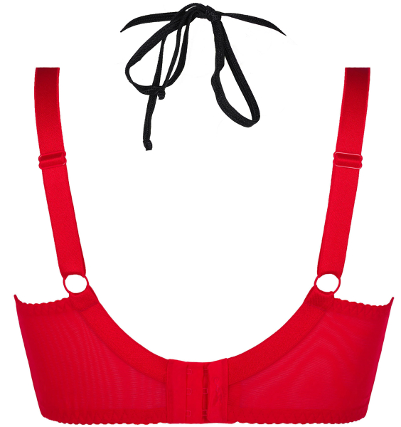 AXAMI Bügel BH 20036 rot schwarz Plus Size V-8771PS