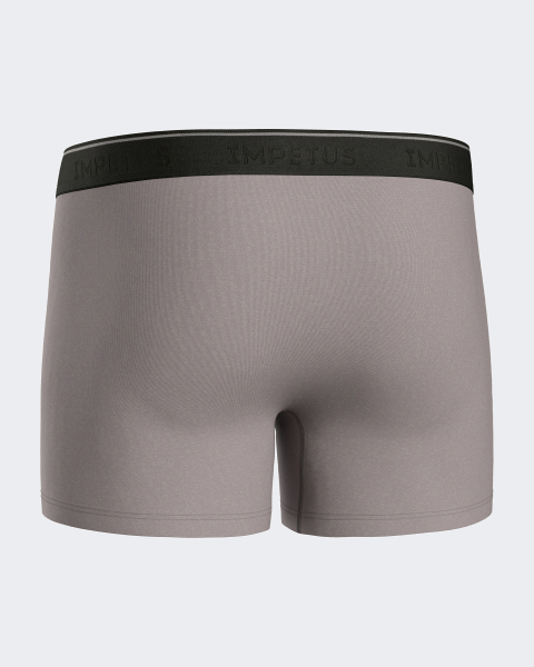 IMPETUS 2166f84 Soft Premium PANT / SHORT grau ig20