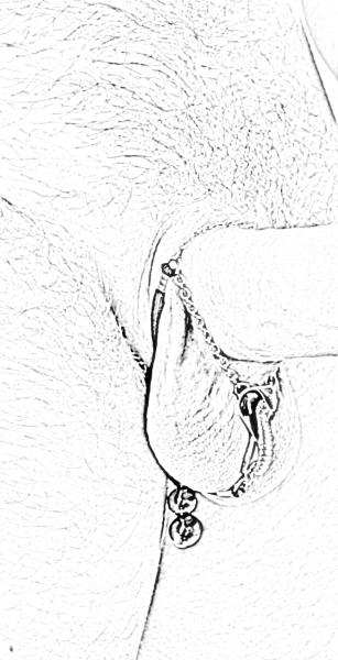 SYLVIE MONTHULE Körperschmuck für Herren COBRA gold BH158