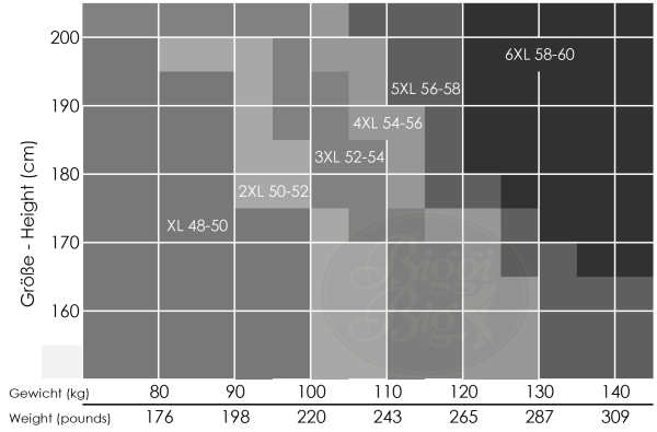 BIGGI BIG Daily 20 Strumpfhose 48-60 / XL-6XL schwarz B120